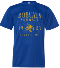 Load image into Gallery viewer, Vintage Bobcats
