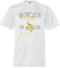 Load image into Gallery viewer, Vintage Bobcats
