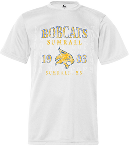 Vintage Bobcats