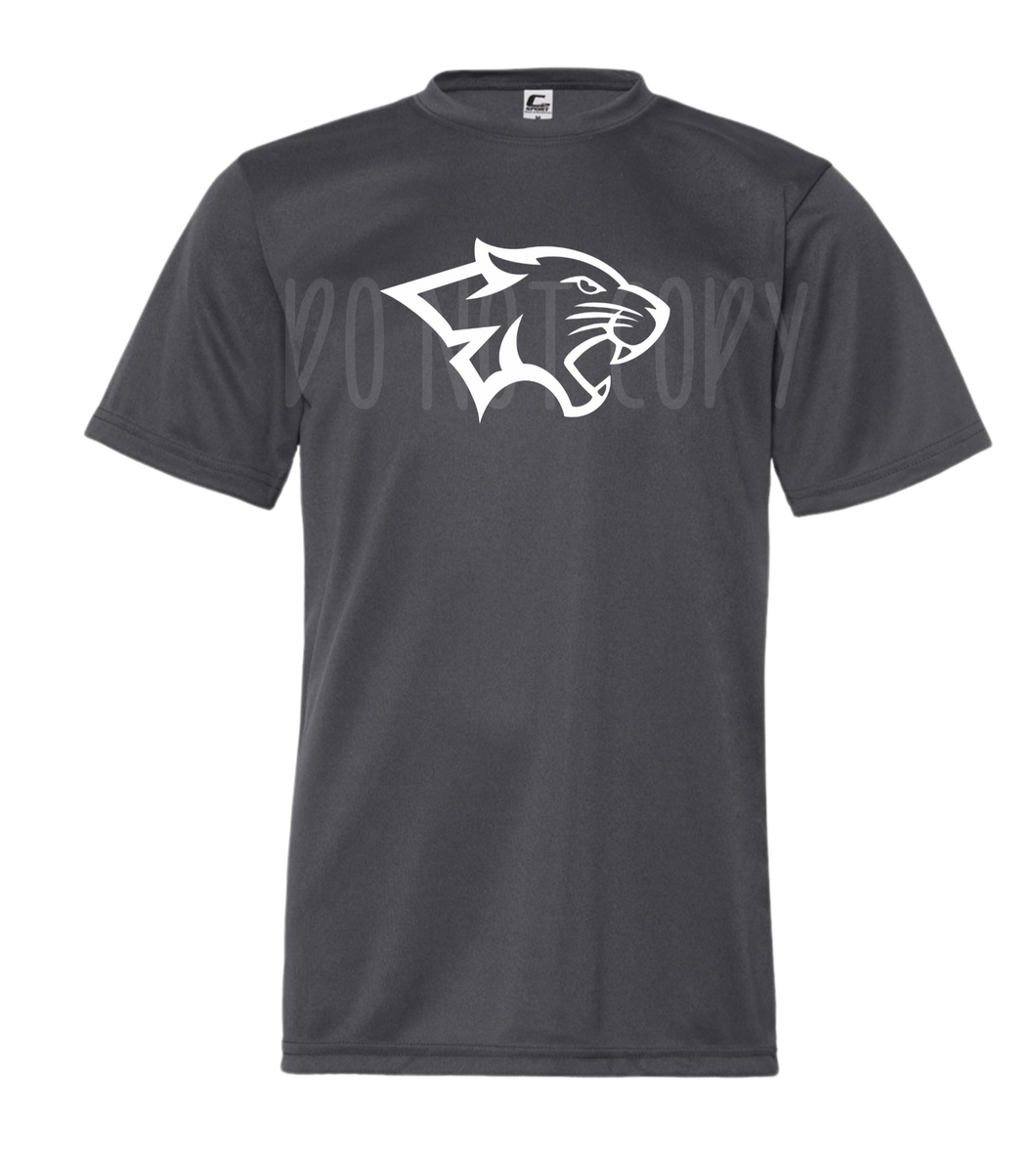 Cougar Mascot